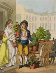 Cries of London：The Garden Pot Seller、1799（カラーアクアチント）